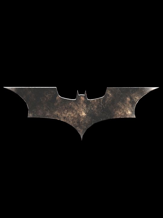 Batman Begins : Cartel