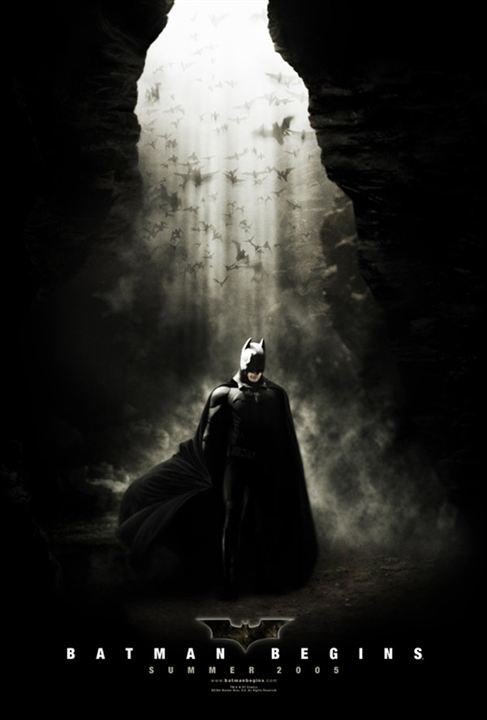 Batman Begins : Cartel