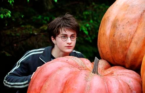 Harry Potter y el Prisionero de Azkaban : Foto Alfonso Cuarón, Daniel Radcliffe