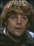 Cartel Sean Astin