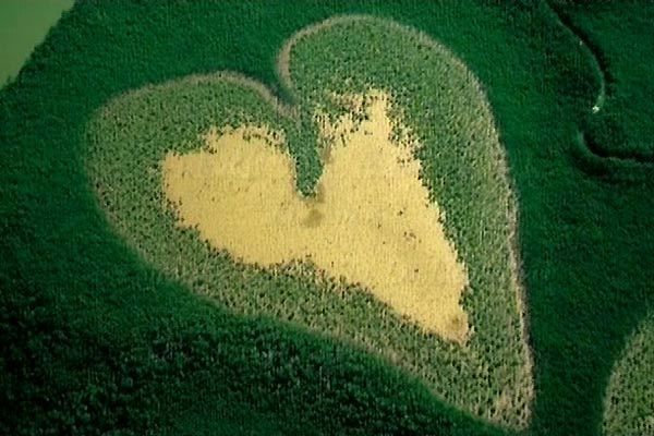 Foto Renaud Delourme