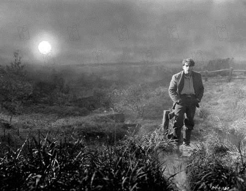 Amanecer : Foto George O'Brien, F.W. Murnau