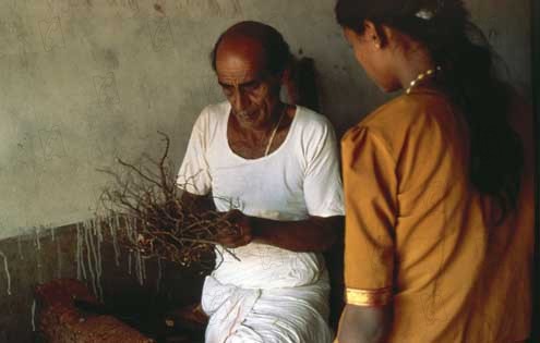 Ayurveda: El Arte de Vivir : Foto Pan Nalin