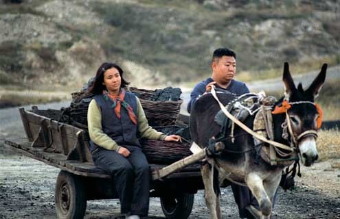 Foto Wang Chao, Wang Lan, Lei Liu