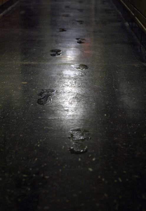 Dark Water (La huella) : Foto Walter Salles