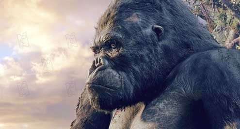 King Kong : Foto Peter Jackson