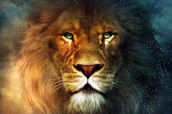 Las crónicas de Narnia: El león, la bruja y el armario : Foto Andrew Adamson