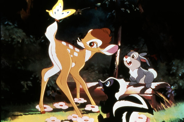 Bambi : Foto