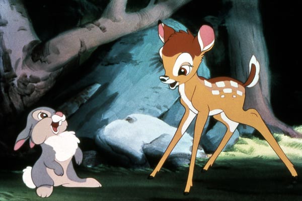 Bambi : Foto