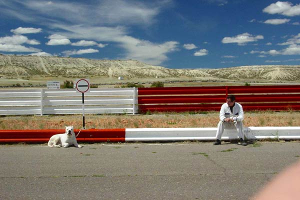 Bombón, el perro : Foto Carlos Sorín
