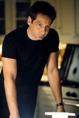 Foto David Duchovny