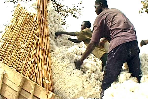 Foto Olivier Zuchuat