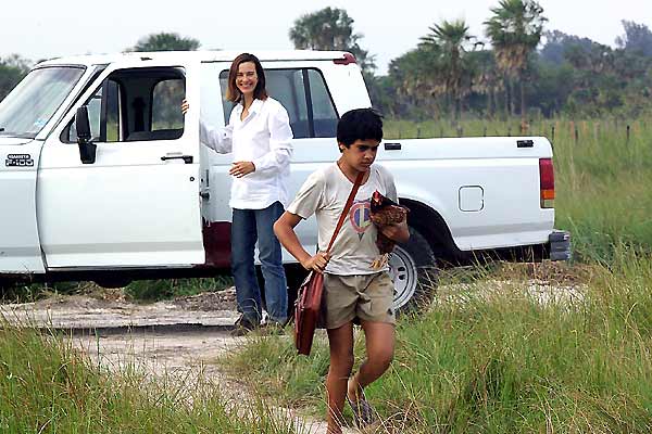 Nordeste : Foto Juan Solanas, Carole Bouquet