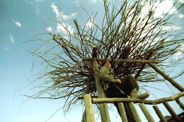 Siete espadas : Foto