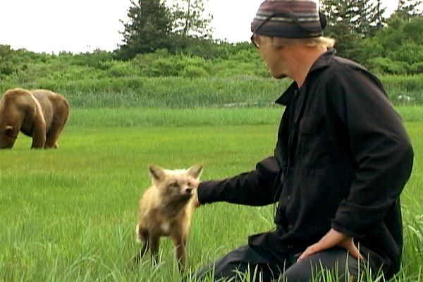 Grizzly Man : Foto
