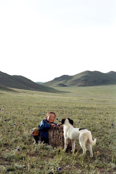 El Perro Mongol : Foto Byambasuren Davaa