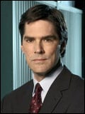 Cartel Thomas Gibson