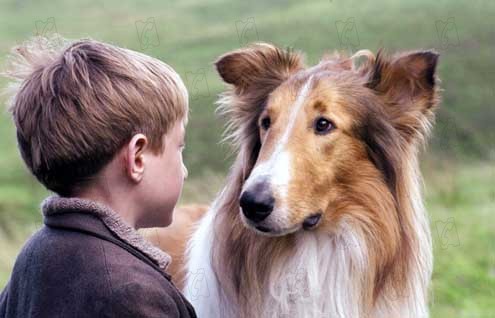 Lassie : Foto Jonathan Mason, Charles Sturridge