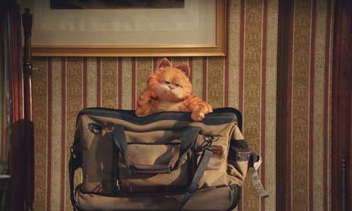 Garfield 2 : Foto Tim Hill