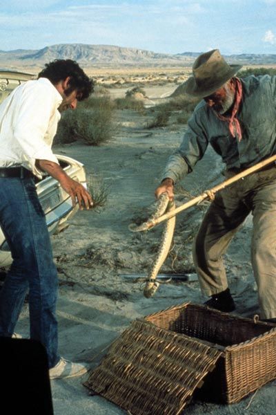 Punto límite: Cero : Foto