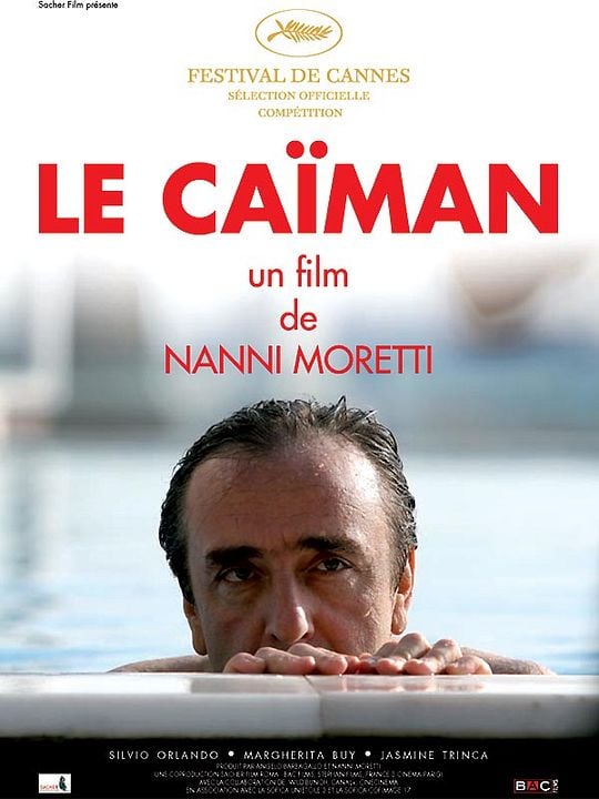 Il Caimano : Cartel