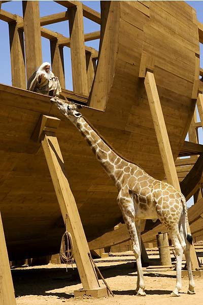 Sigo como Dios : Foto Steve Carell