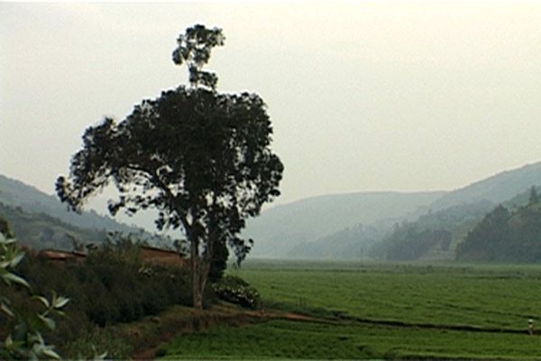 Foto Jean-Christophe Klotz