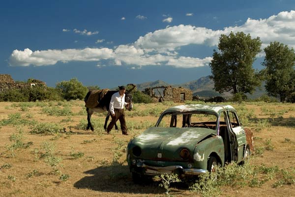 La noche de los girasoles : Foto Jorge Sanchez-Cabezudo