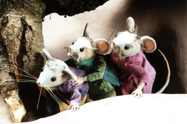 Foto Abdollah Alimorad, Ali Asgharzadeh, Behzad Farahat