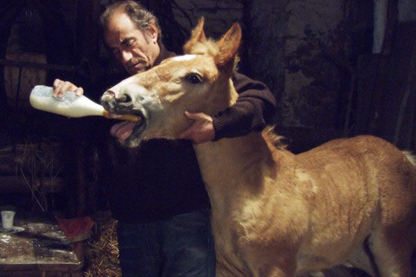 Foto Richard Bohringer