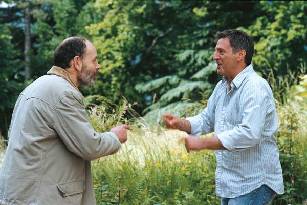 Conversaciones con mi jardinero : Foto Daniel Auteuil, Jean-Pierre Darroussin