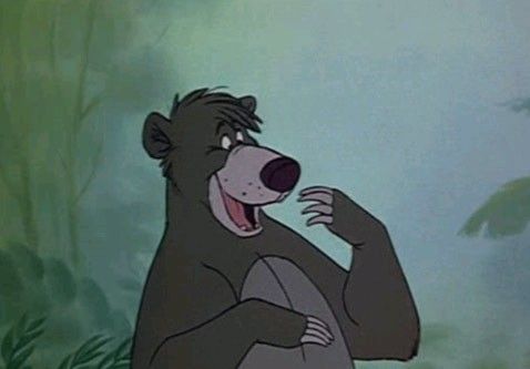 El libro de la selva : Foto