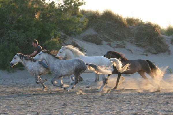 Foto Valérie Guignabodet