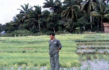 Good Morning, Vietnam : Foto Barry Levinson, Robin Williams