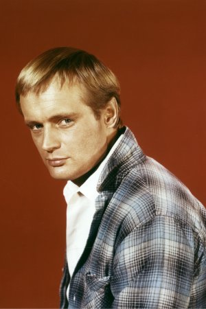 Foto David McCallum