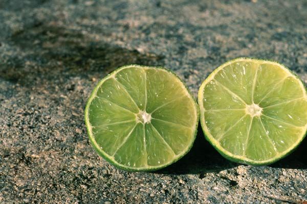 Foto Jean-Paul Fargier