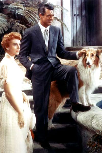 Tú y yo : Foto Cary Grant, Deborah Kerr, Leo McCarey