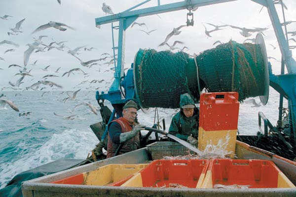 Nosotros alimentamos al mundo : Foto Erwin Wagenhofer