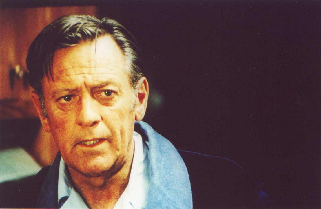 Primavera en otoño : Foto