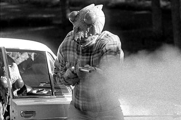 Avant Pétalos Grillados : Foto