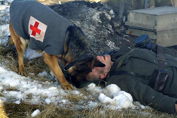 Las nuevas aventuras de Rin-Tin-Tin : Foto Danny Lerner