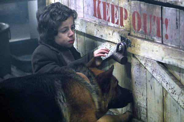 Las nuevas aventuras de Rin-Tin-Tin : Foto Danny Lerner