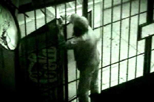 Los Ladrones viejos : Foto Everardo González