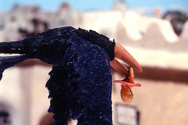 Foto Abdollah Alimorad