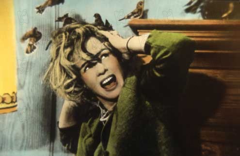 Los pájaros : Foto Alfred Hitchcock, Tippi Hedren