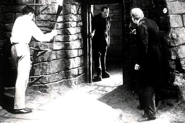 El Doctor Frankenstein : Foto James Whale, Boris Karloff
