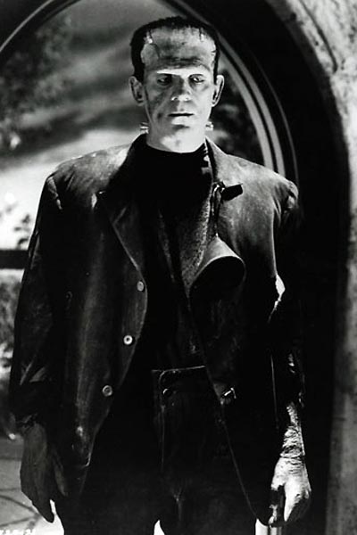 El Doctor Frankenstein : Foto Boris Karloff, James Whale