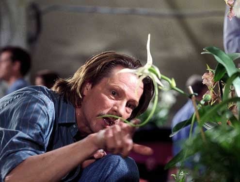 Adaptation (El ladrón de orquídeas) : Foto Chris Cooper, Spike Jonze