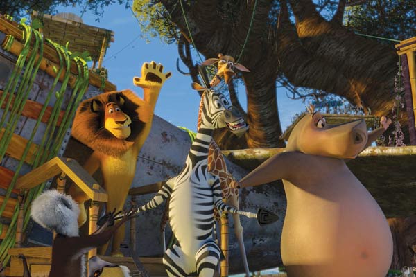 Madagascar 2 : Foto