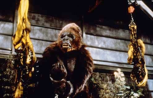 King Kong 2 : Foto John Guillermin